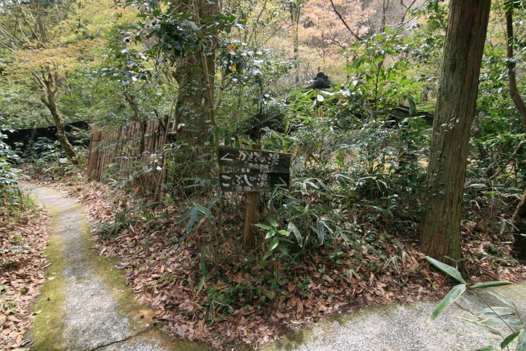 f:id:Kazdorado:20180416190804j:plain