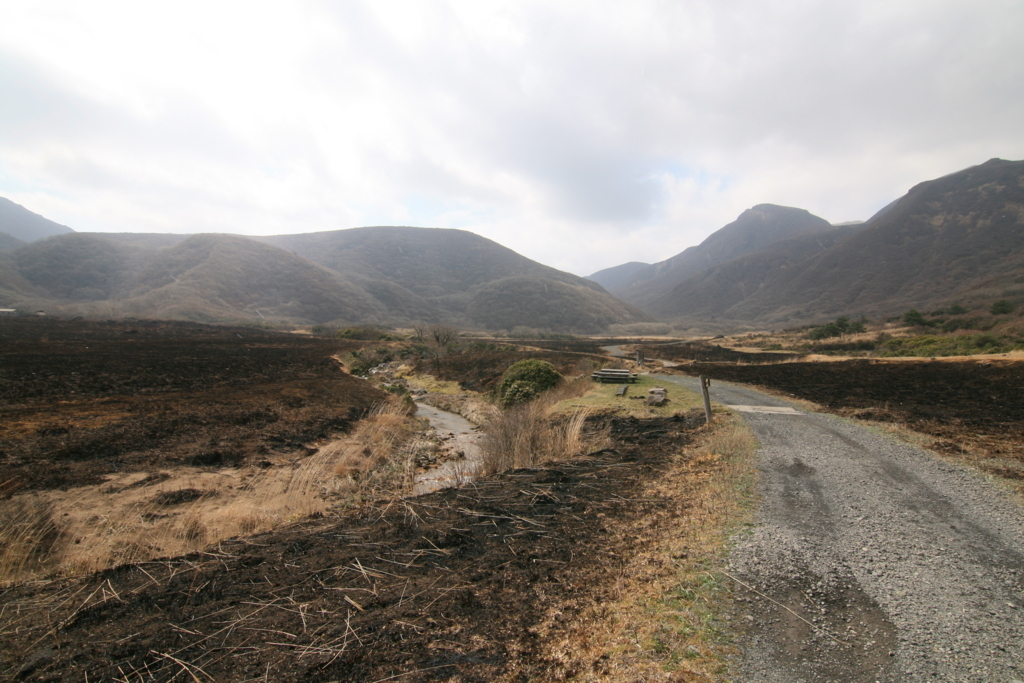 f:id:Kazdorado:20180421171853j:plain f:id:Kazdorado:20180421171853j:plain