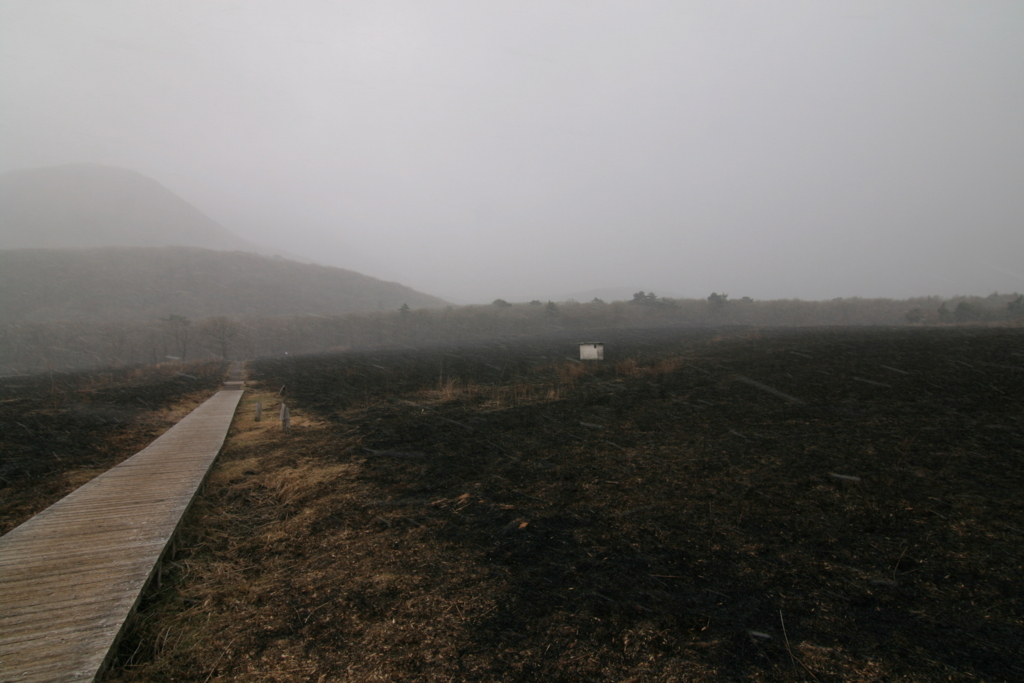 f:id:Kazdorado:20180421172114j:plain f:id:Kazdorado:20180421172114j:plain