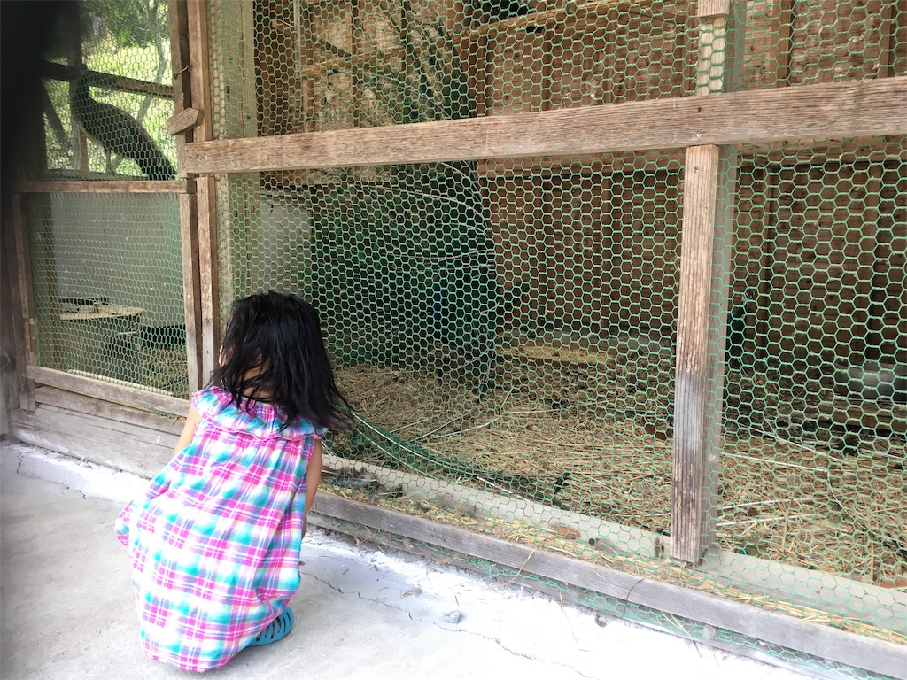 f:id:Kazdorado:20180814202205j:image