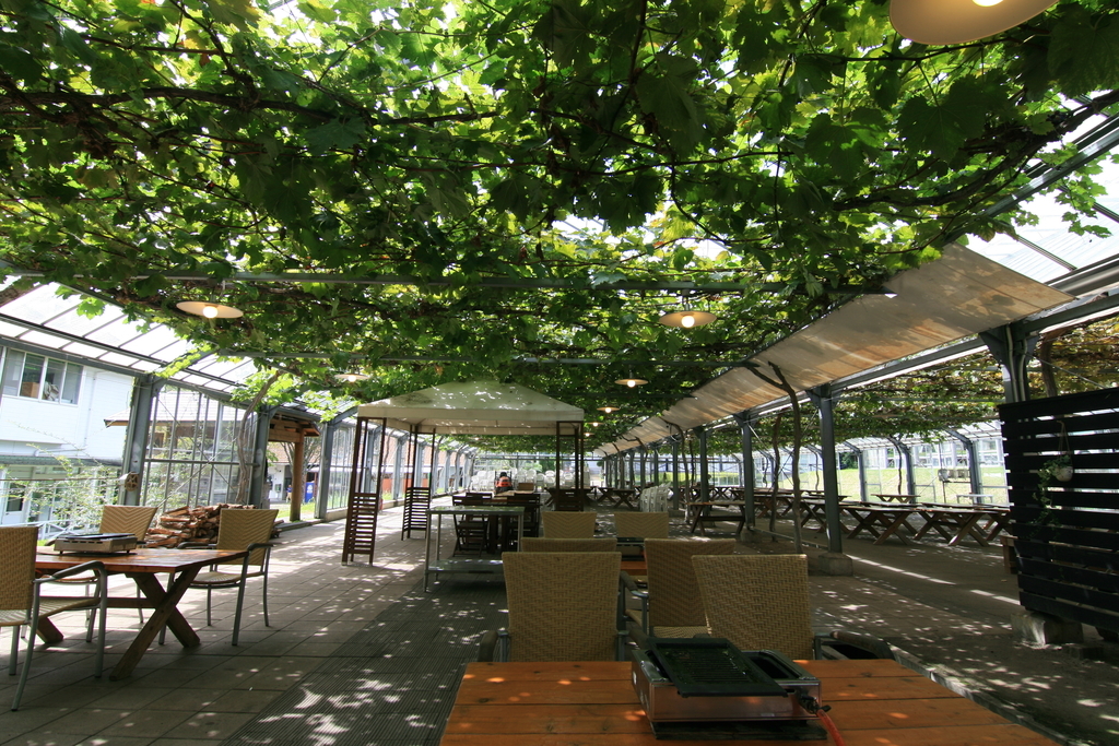 f:id:Kazdorado:20181002165748j:plain