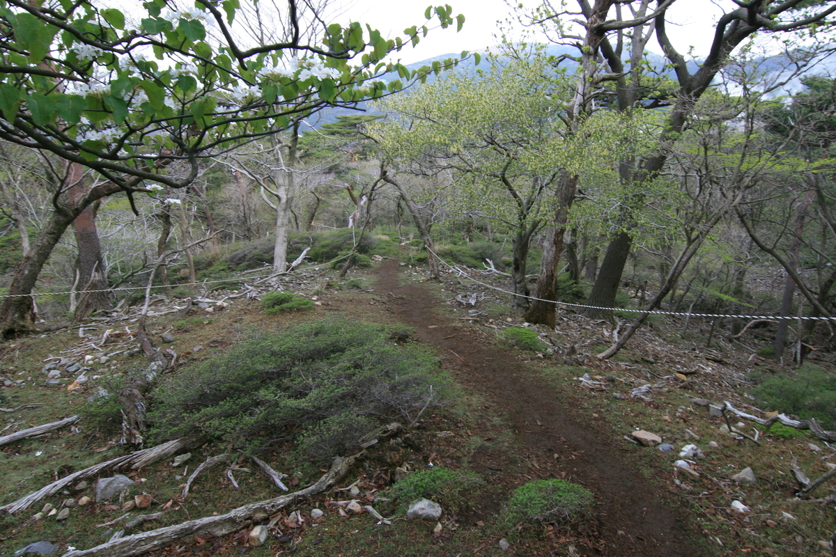 f:id:Kazdorado:20190501235732j:plain f:id:Kazdorado:20190501235732j:plain