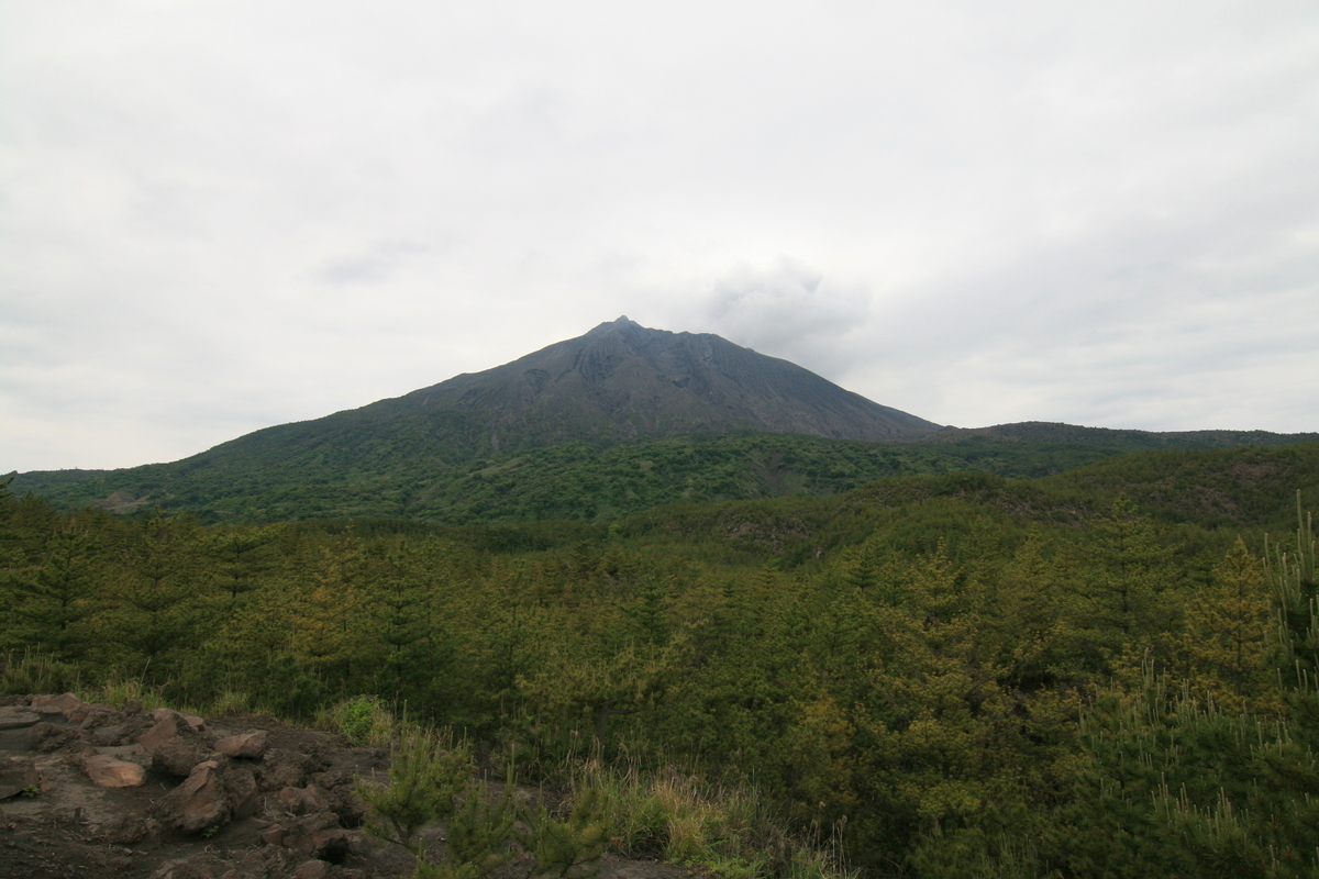 f:id:Kazdorado:20190502000606j:plain f:id:Kazdorado:20190502000606j:plain