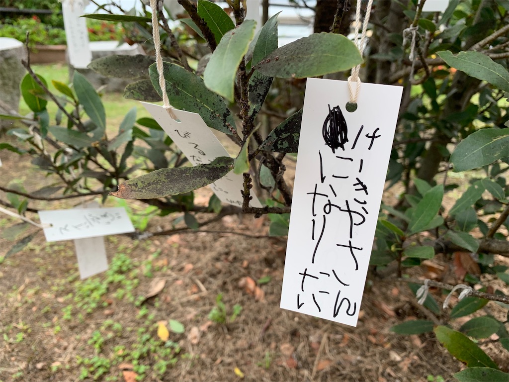 f:id:Kazdorado:20190827083336j:image