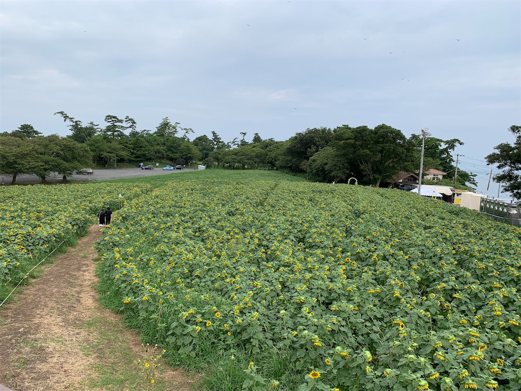 f:id:Kazdorado:20190827083422j:image