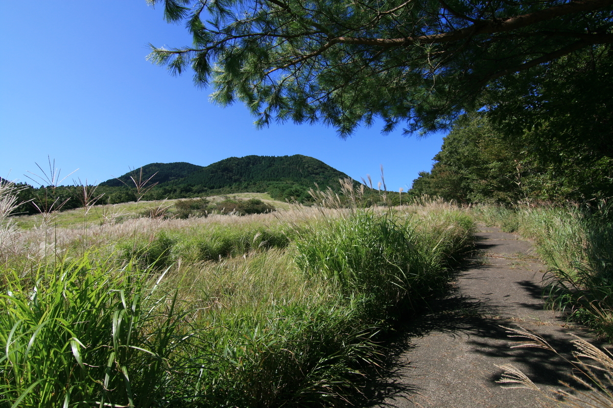 f:id:Kazdorado:20201007183353j:plain