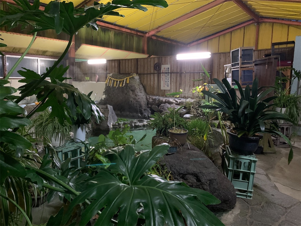 f:id:Kazdorado:20211125190355j:image