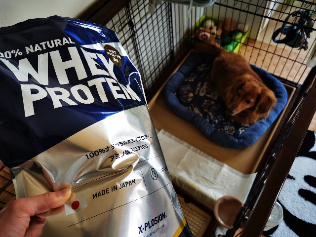 f:id:Kazuho1222:20200701143343j:image