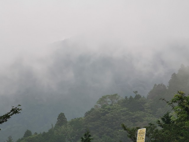 f:id:Kazuho1222:20200730223955j:image f:id:Kazuho1222:20200730223955j:image