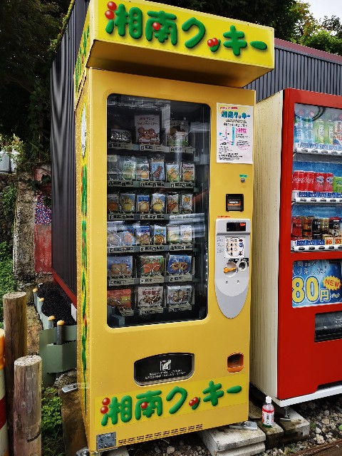 f:id:Kazuho1222:20200730224629j:image f:id:Kazuho1222:20200730224629j:image