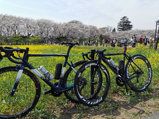 f:id:Kazuho1222:20210330142829j:image