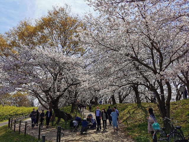 f:id:Kazuho1222:20210330143618j:image