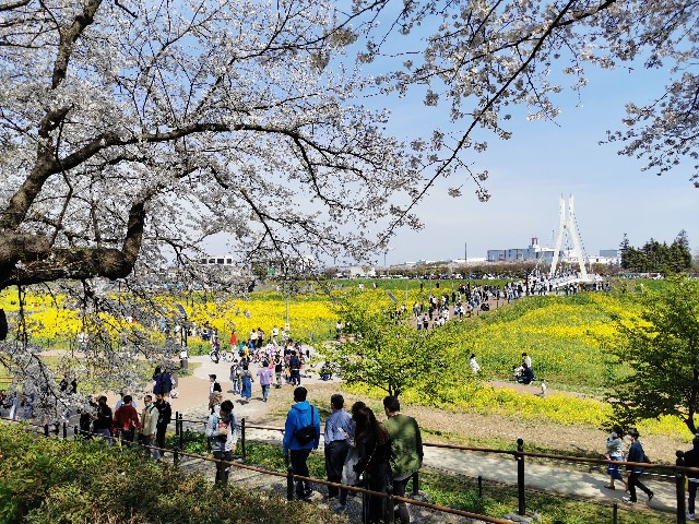 f:id:Kazuho1222:20210330143953j:image