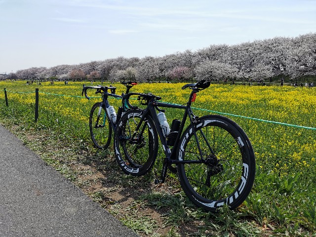 f:id:Kazuho1222:20210330161230j:image