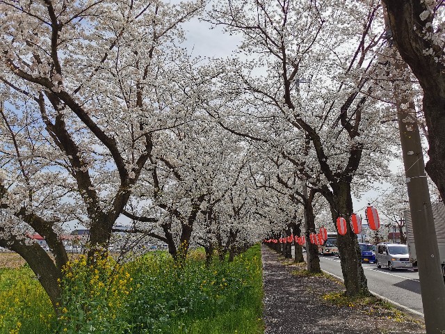 f:id:Kazuho1222:20210331143501j:image