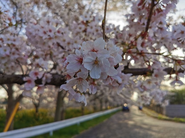 f:id:Kazuho1222:20210331162142j:image