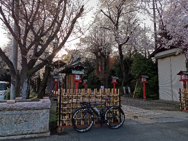 f:id:Kazuho1222:20210331162240j:image