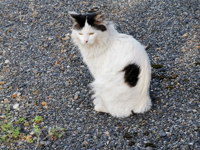 f:id:Kazuho1222:20210331162447j:image