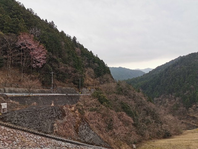 f:id:Kazuho1222:20210402185813j:image