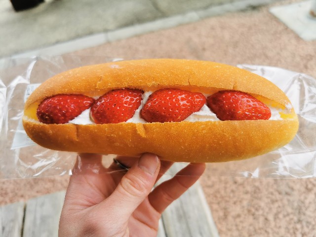 f:id:Kazuho1222:20210404003543j:image