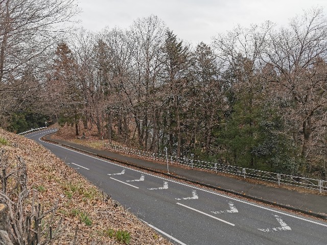 f:id:Kazuho1222:20210404152308j:image