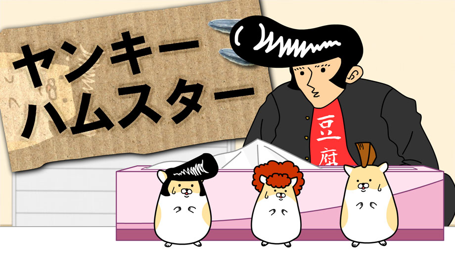 f:id:KazuoLv1:20181230232106j:plain