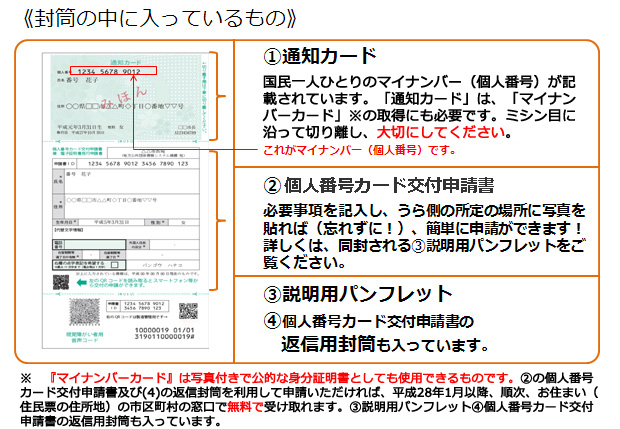マイナンバーがわからない 番号を確認する方法について おうちクエスト
