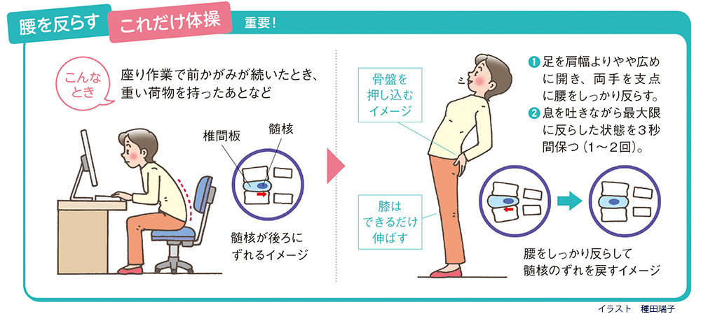 22年 買ってよかった本当に効く腰痛対策グッズ 立ち仕事 デスクワーク夫婦がおすすめします おうちクエスト