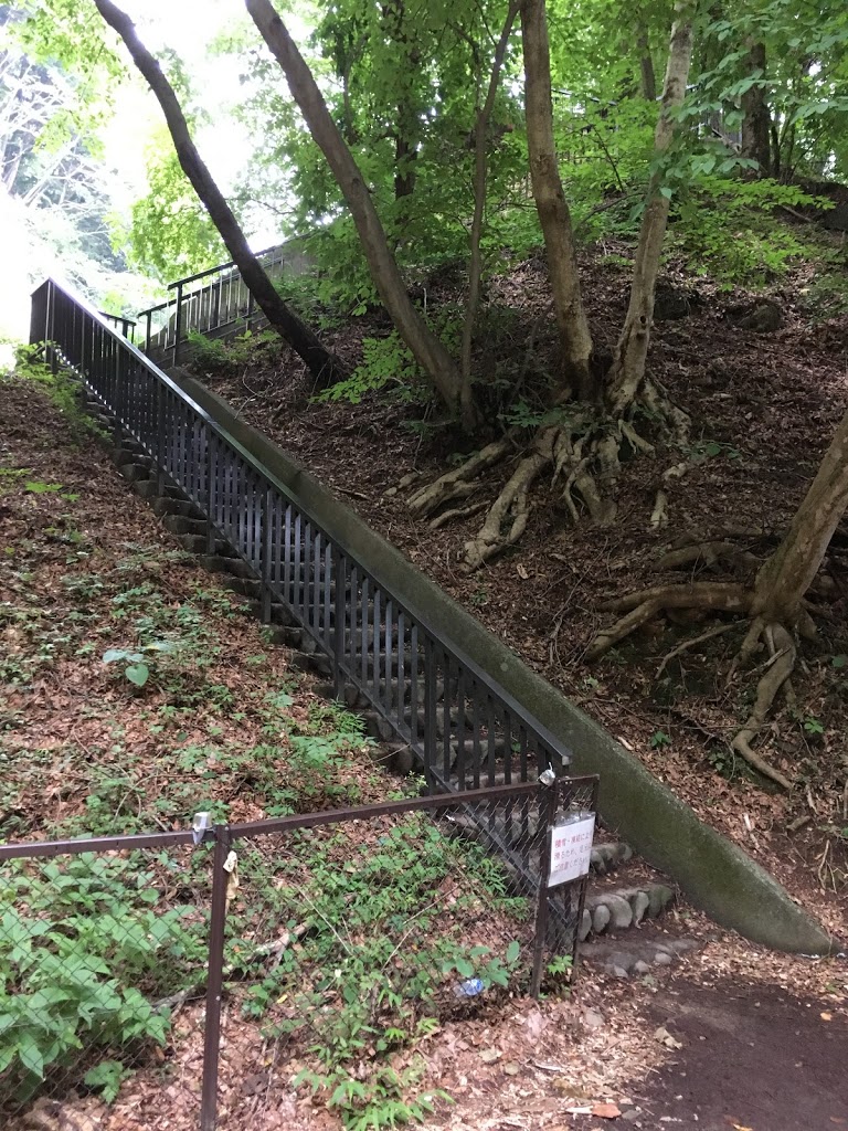 鬼怒楯岩大吊橋 展望台への階段