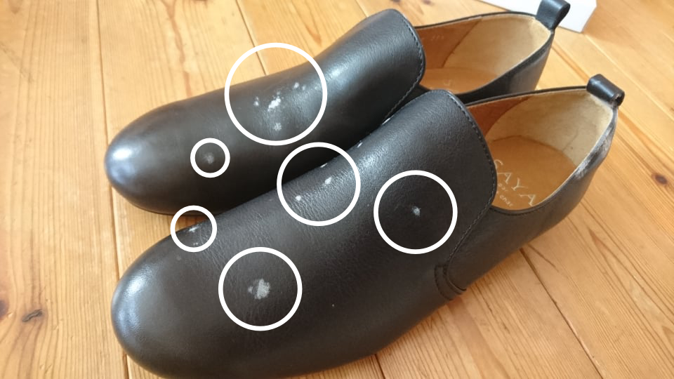 白カビが生えた靴