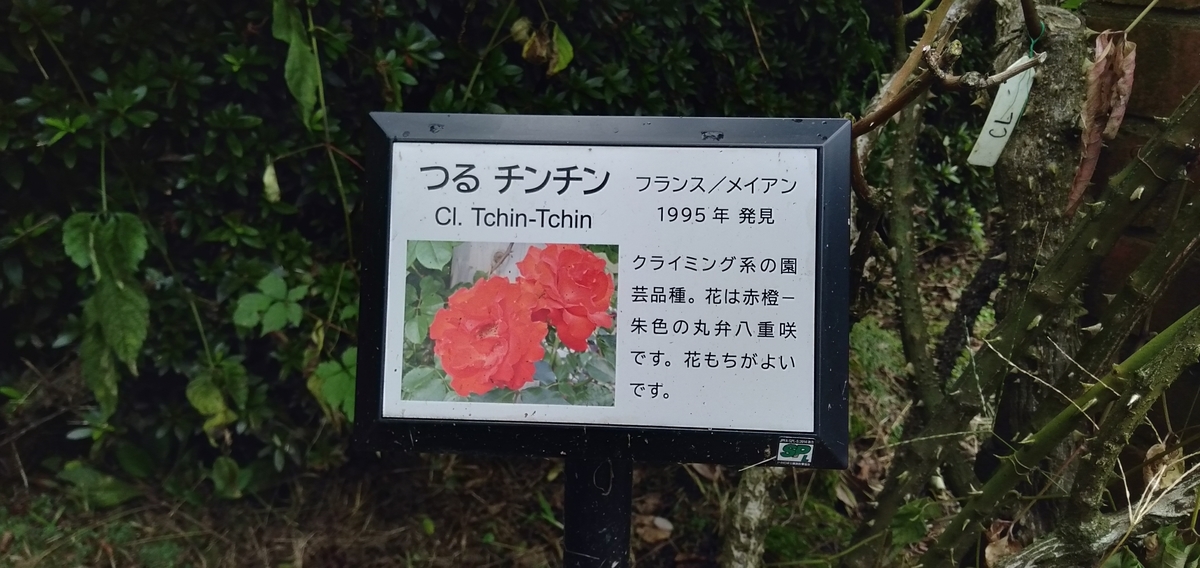 f:id:KbayashiZemi:20210911162909j:plain