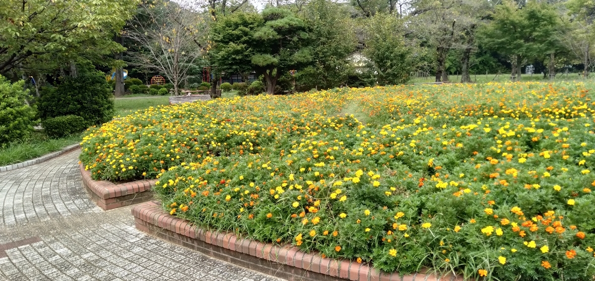 f:id:KbayashiZemi:20210911163422j:plain