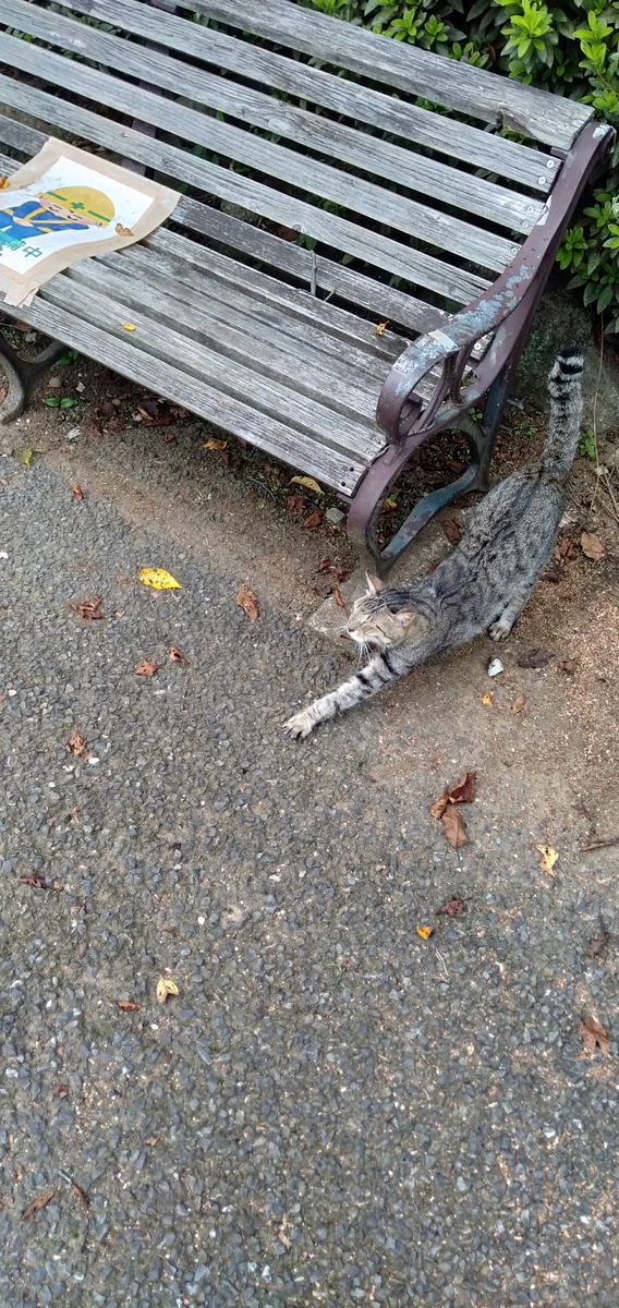 f:id:KbayashiZemi:20210911164333j:plain