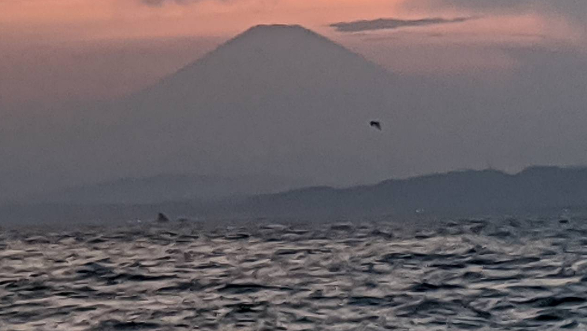 国府津 柳島 江ノ島 ショアジギング 結局どこがいい 爆釣戦隊釣れんジャー
