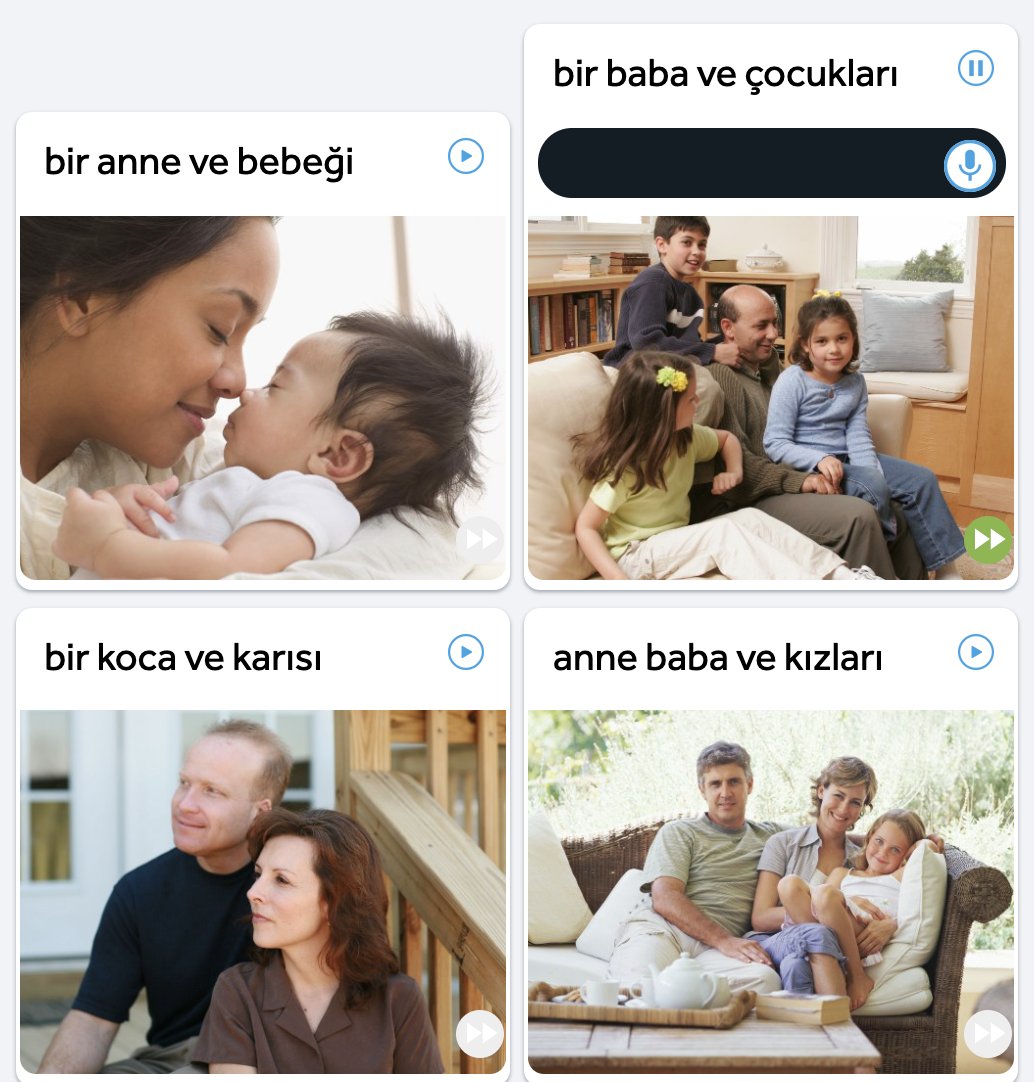 rosettastone-turkish