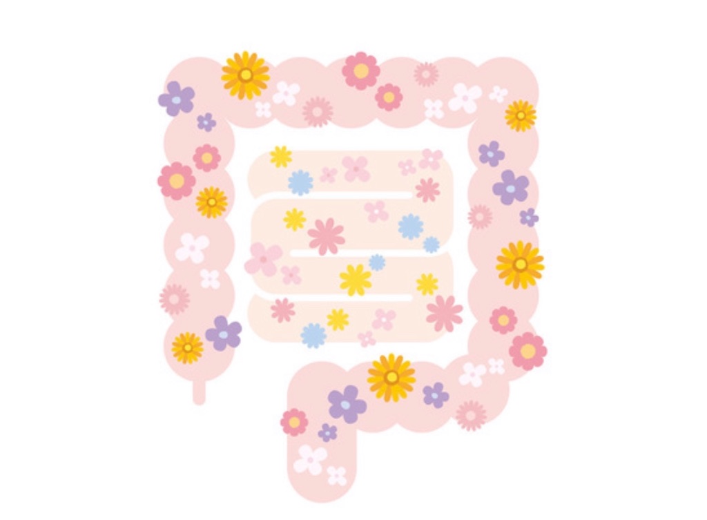f:id:Keeei:20200504110503j:image f:id:Keeei:20200504110503j:image