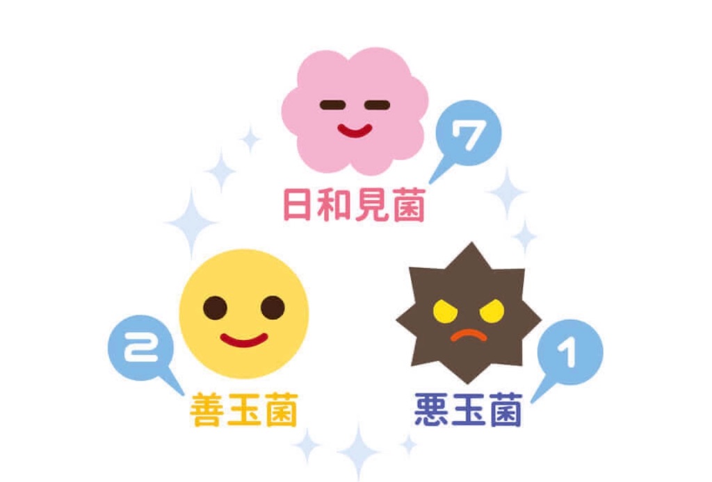 f:id:Keeei:20200504110550j:image f:id:Keeei:20200504110550j:image
