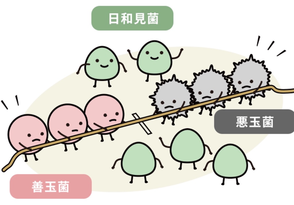 f:id:Keeei:20200504110557j:image f:id:Keeei:20200504110557j:image