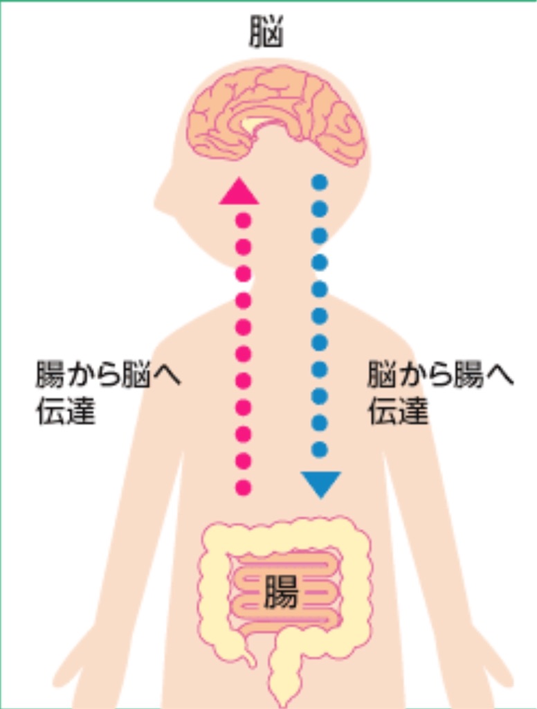 f:id:Keeei:20200509022639j:image f:id:Keeei:20200509022639j:image
