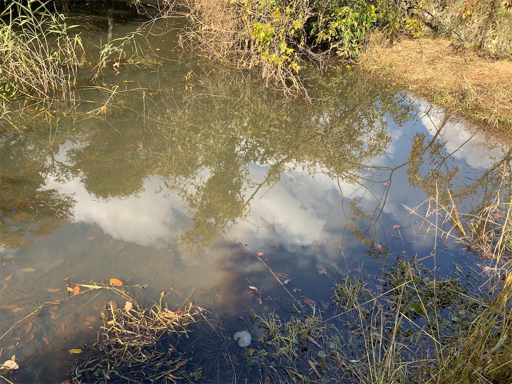 f:id:Kei8200:20191124223408j:image f:id:Kei8200:20191124223408j:image