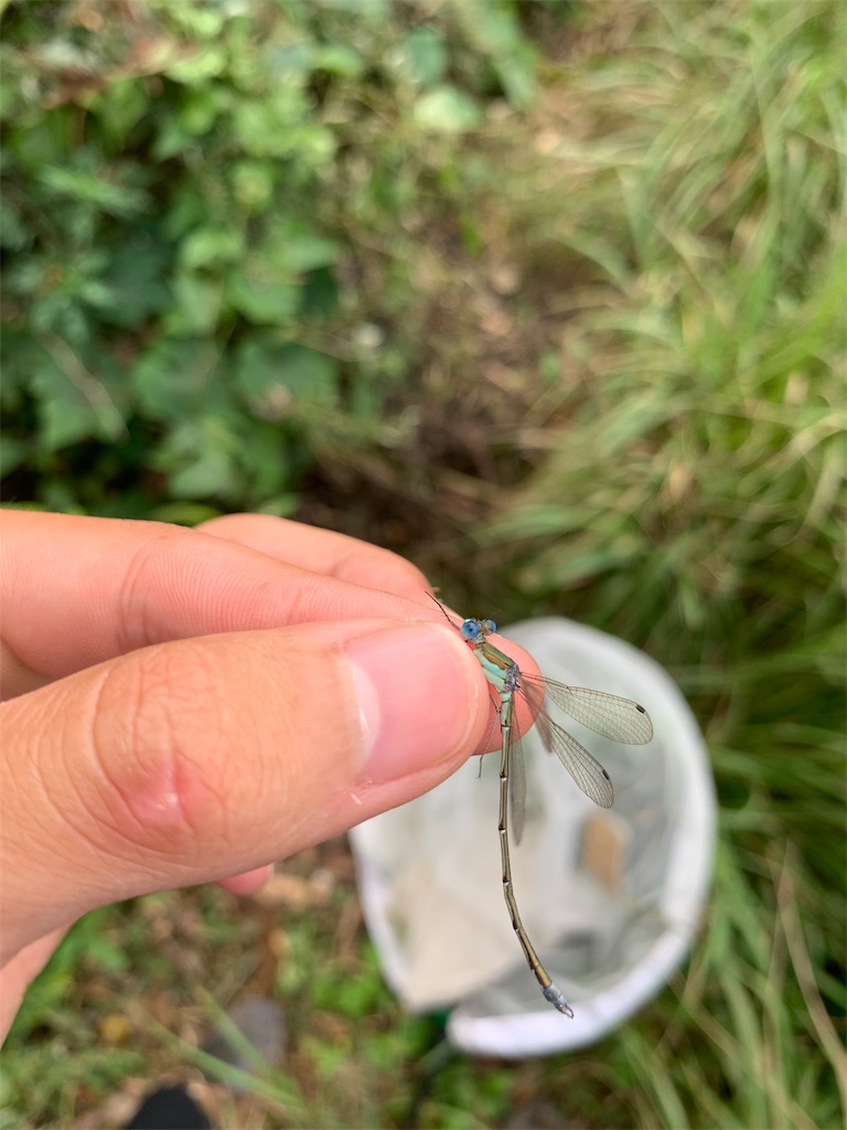 f:id:Kei8200:20191124232242j:image f:id:Kei8200:20191124232242j:image