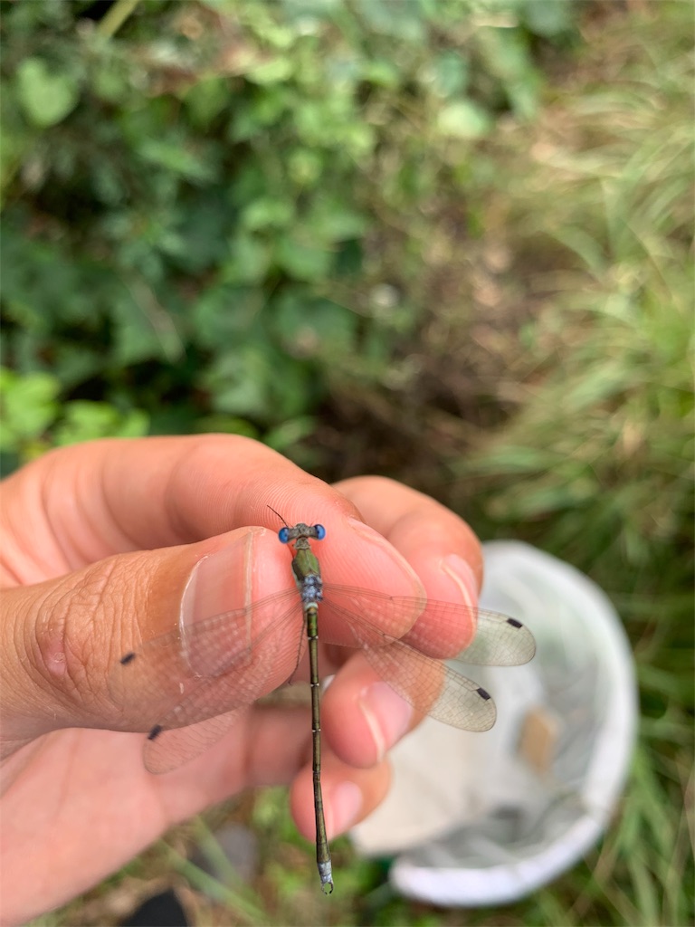 f:id:Kei8200:20191124232247j:image f:id:Kei8200:20191124232247j:image
