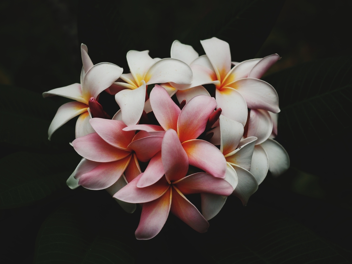 f:id:KeiPapa:20190518231145j:plain