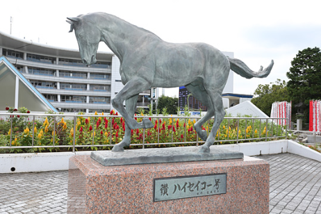 f:id:Keibalife:20190217032422p:plain
