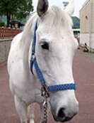 f:id:Keibalife:20200818090126p:plain