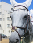 f:id:Keibalife:20200818102257p:plain