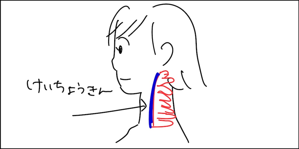 f:id:Keikona:20230829233105j:image