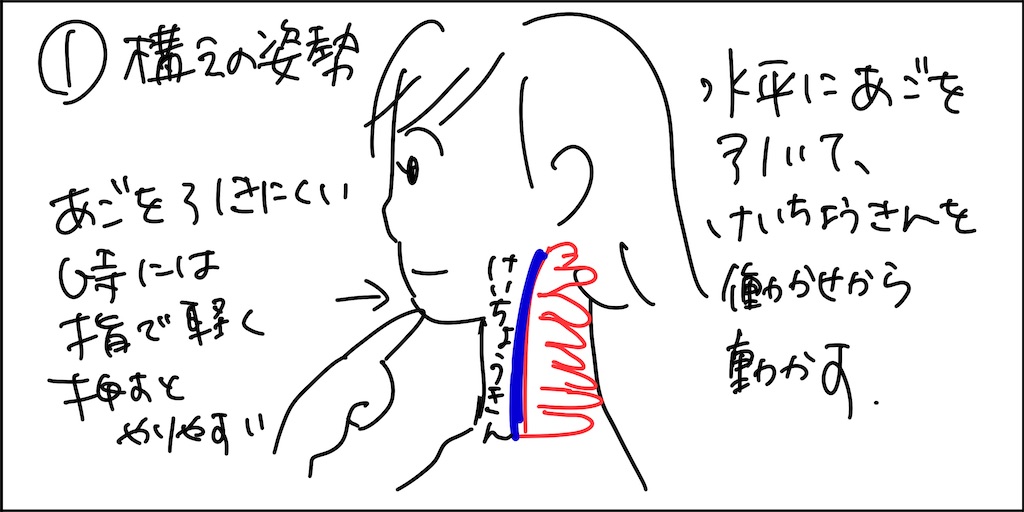 f:id:Keikona:20230829233115j:image