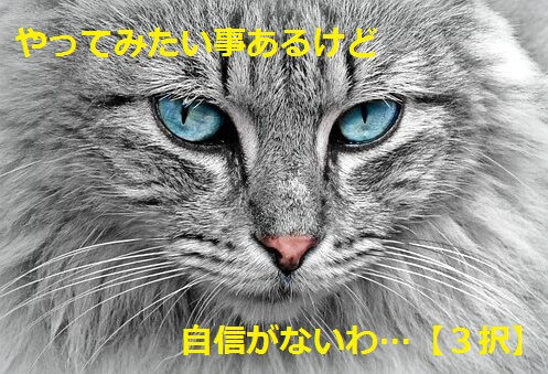 f:id:KeinaHatsuse:20180717001851j:plain f:id:KeinaHatsuse:20180717001851j:plain