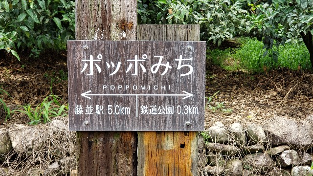 f:id:Keiryu-Goryo:20200624165530j:image f:id:Keiryu-Goryo:20200624165530j:image